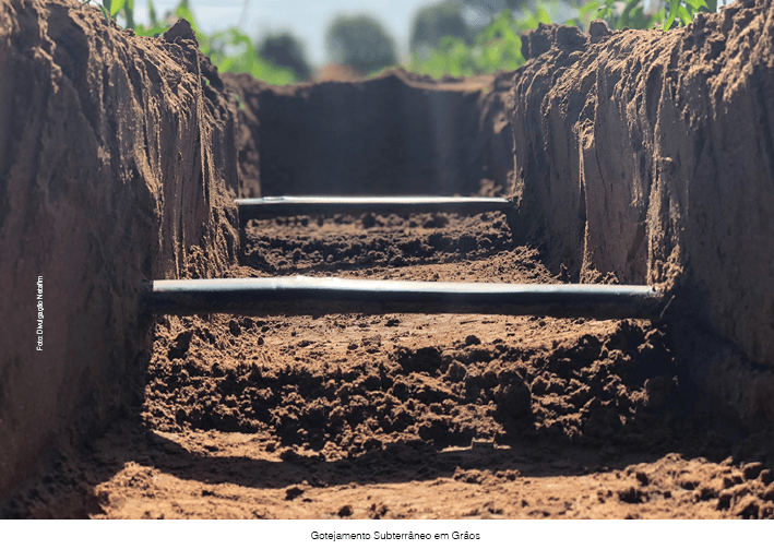 Irrigação subterrânea: eficiência, economia e resultado garantido
